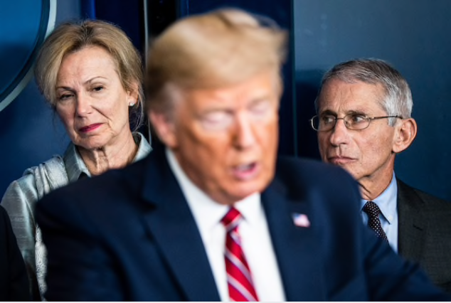 37 years after working together at the dawn of the AIDS crisis, Fauci and Birx are partners in fighting the coronavirus 37 years after working together at the dawn of the AIDS crisis, Fauci and Birx are partners in fighting the coronavirus