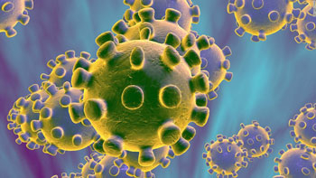 India develops paper-strip test that detects coronavirus in an hour, costs LKR 1,250 (US$ 6.5) India develops paper-strip test that detects coronavirus in an hour, costs LKR 1,250 (US$ 6.5)