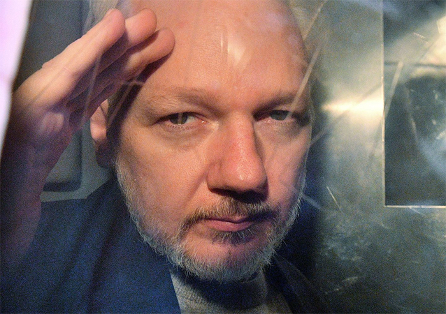 Julian Assange fathered two children while hiding in Ecuadoran Embassy, alleged partner claims in video Julian Assange fathered two children while hiding in Ecuadoran Embassy, alleged partner claims in video