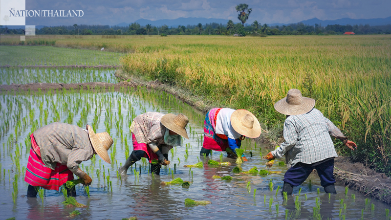 Government finalising cash handouts to farmers Government finalising cash handouts to farmers