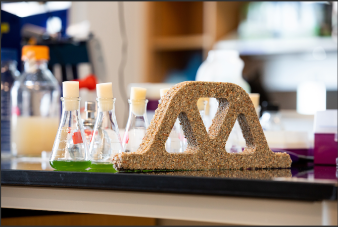 How bacteria could make self-growing bricks, self-healing roofs the future of building industry How bacteria could make self-growing bricks, self-healing roofs the future of building industry
