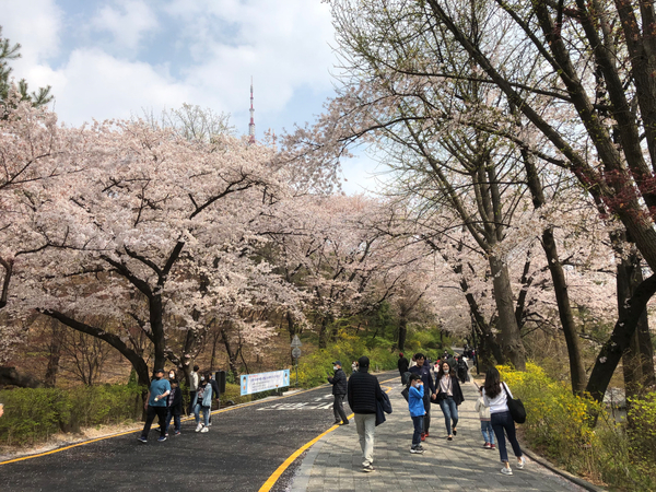Social distancing wanes in S. Korea Social distancing wanes in S. Korea