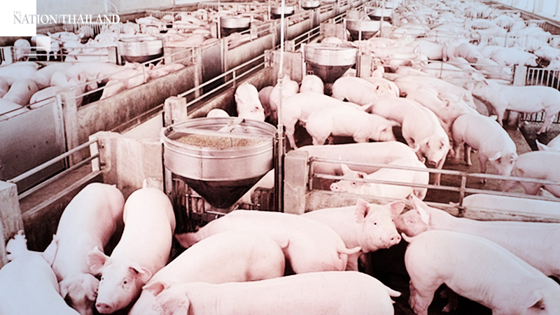 Meat demand shrinks due to safety concerns, lack of export markets Meat demand shrinks due to safety concerns, lack of export markets