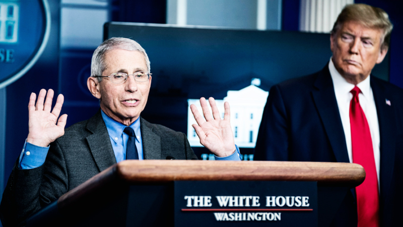 Trump Calls Fauci A Wonderful Guy The Day After Promoting A Tweet That Called For Him To Be Fired