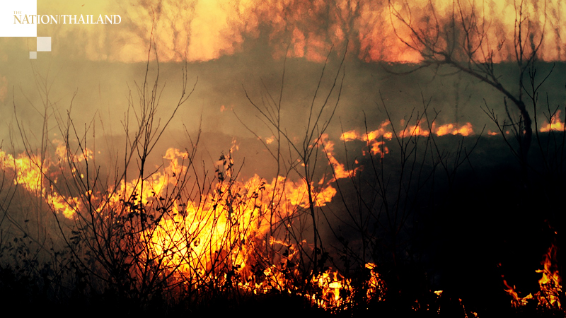 Forest fires raging through Tak’s mountains Forest fires raging through Tak’s mountains