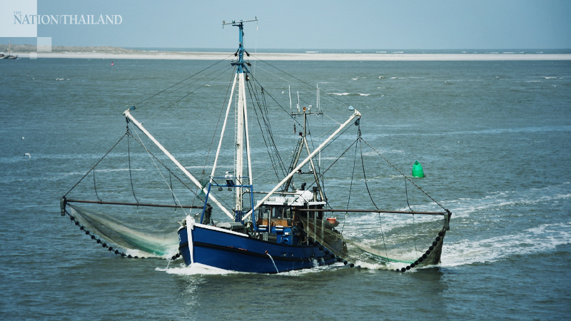 With fishing fleets tied up, marine life has a chance to recover With fishing fleets tied up, marine life has a chance to recover