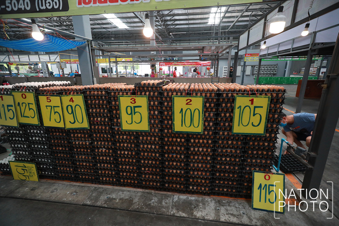 Egg farmers' SOS to government Egg farmers' SOS to government