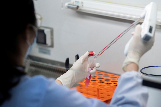 Scientists: Virus mutating, but won't affect drug, vaccine work Scientists: Virus mutating, but won't affect drug, vaccine work