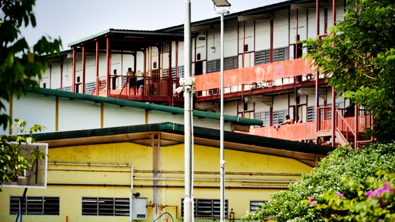 1,369 of the 1,426 coronavirus cases confirmed in S’pore are foreign workers living in dormitories 1,369 of the 1,426 coronavirus cases confirmed in S’pore are foreign workers living in dormitories