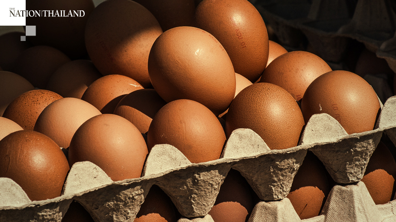 Ministry hatches plan to solve egg shortage in South Ministry hatches plan to solve egg shortage in South