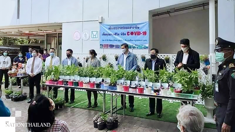 BMA distributes grow-at-home veg for residents in lockdown BMA distributes grow-at-home veg for residents in lockdown