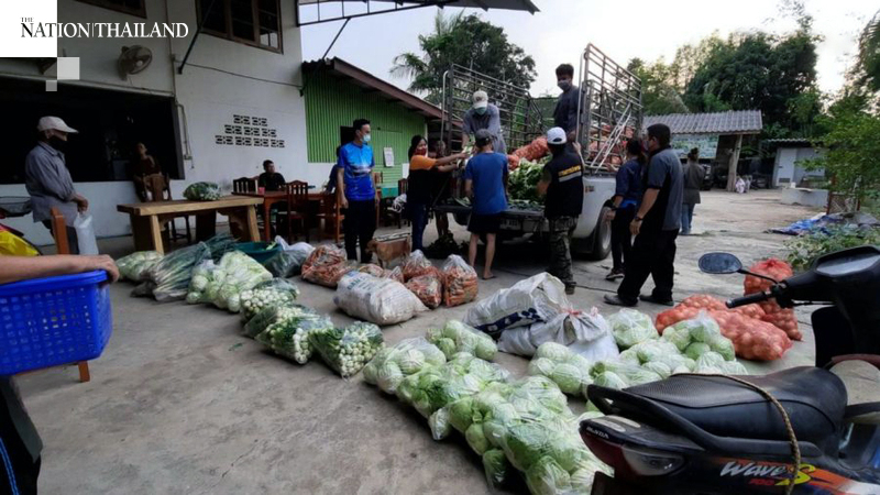 Locals in Chiang Mai donate veggies to help those affected by Covid-19 Locals in Chiang Mai donate veggies to help those affected by Covid-19