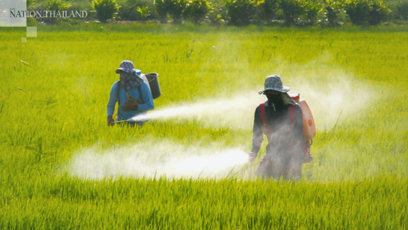 Anutin rejects demands to delay ban on hazardous pesticides Anutin rejects demands to delay ban on hazardous pesticides