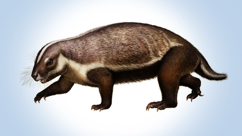 Scientists discover a creature that roamed south of the equator 66 million years ago Scientists discover a creature that roamed south of the equator 66 million years ago