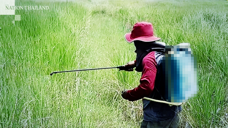 Ban on toxic pesticides to go ahead, says minister Ban on toxic pesticides to go ahead, says minister