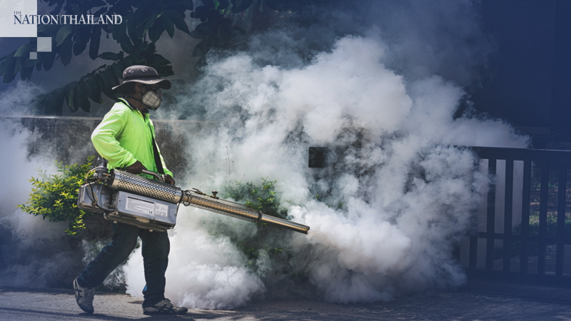 Dengue kills one, infects more than 700 in Nakhon Ratchasima Dengue kills one, infects more than 700 in Nakhon Ratchasima