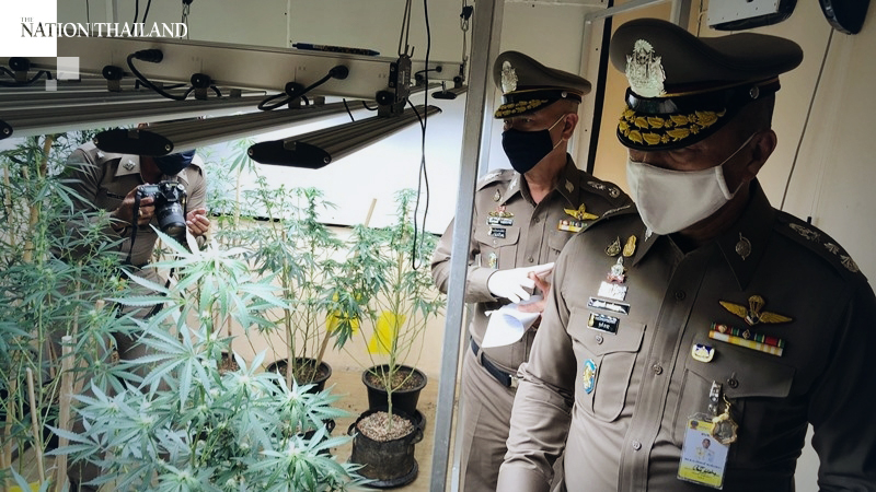 Police break up marijuana production, delivery operation Police break up marijuana production, delivery operation