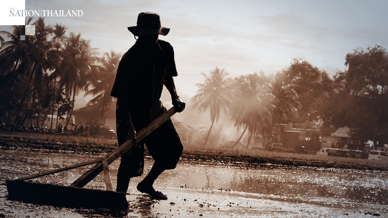 Farmers asked to wait for wet season before planting