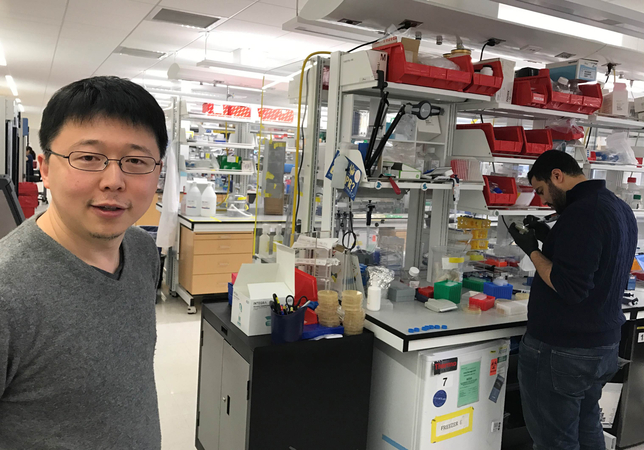 Molecular biologist Feng Zhang is co-inventor of CRISPR, a gene-editing system its inventors say can determine in an hour if someone is infected with the coronavirus. MUST CREDIT: Washington Post photo by Joel Achenbach
