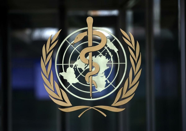 WHO expert: novel coronavirus origins linked to bats WHO expert: novel coronavirus origins linked to bats