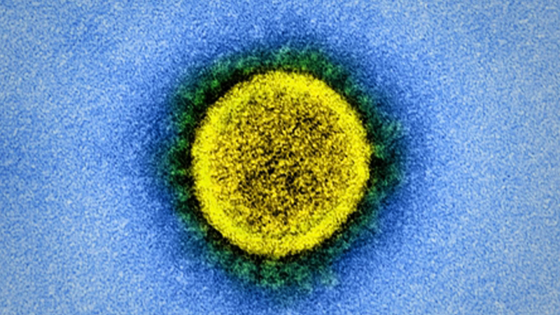 Leak of virus impossible, biosafety lab chief says Leak of virus impossible, biosafety lab chief says