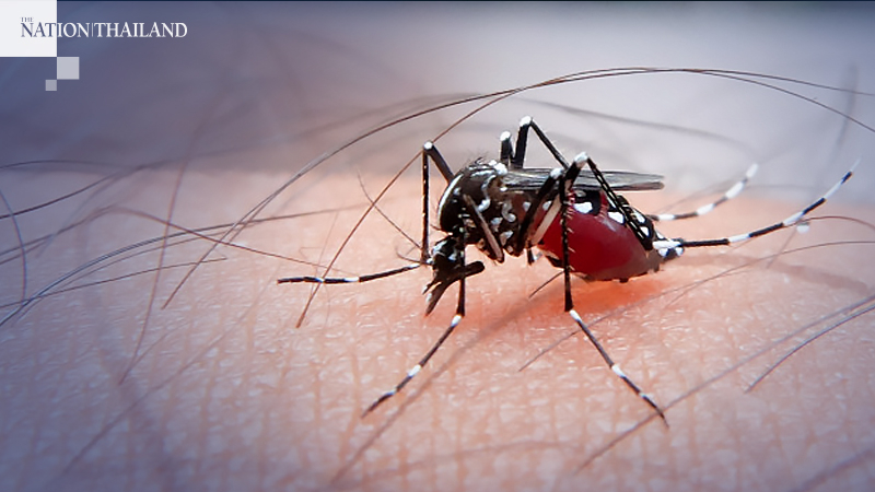 Dengue alert issued for Central region Dengue alert issued for Central region
