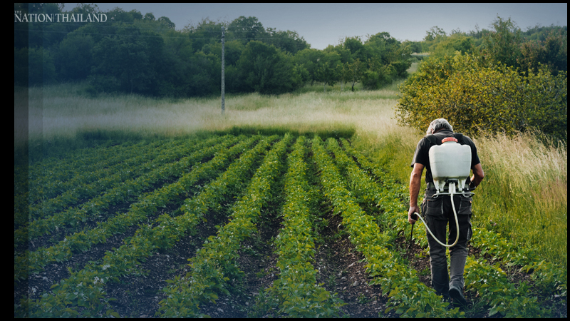 Paraquat, chlorpyrifos classified as ‘most’ hazardous Paraquat, chlorpyrifos classified as ‘most’ hazardous