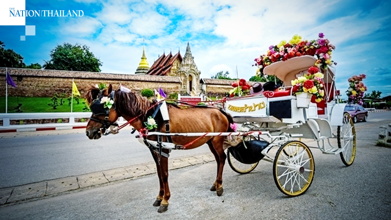 Covid-19 brings Lampang’s horse business to a standstill Covid-19 brings Lampang’s horse business to a standstill