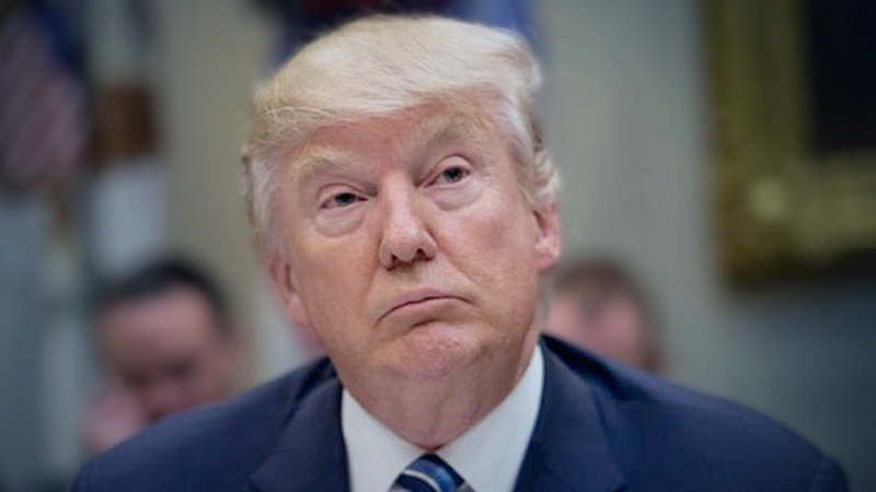 Florida family grieves as Trump spreads debunked conspiracy theory to attack MSNBC host Florida family grieves as Trump spreads debunked conspiracy theory to attack MSNBC host