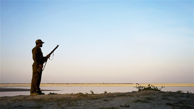 Poaching spikes amid lockdown in South Asia Poaching spikes amid lockdown in South Asia