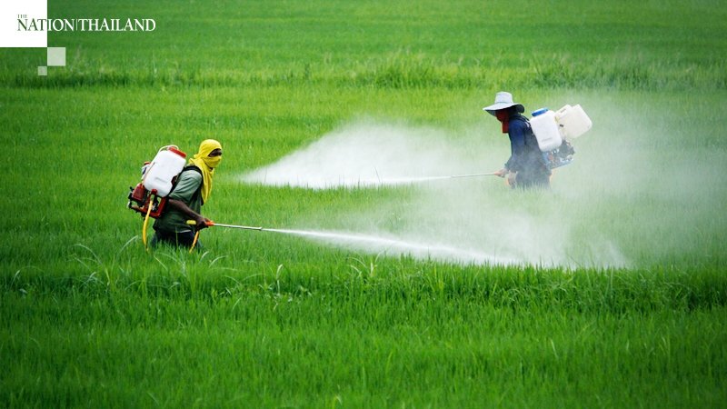Private sector protests start of chlorpyrifos, paraquat ban Private sector protests start of chlorpyrifos, paraquat ban