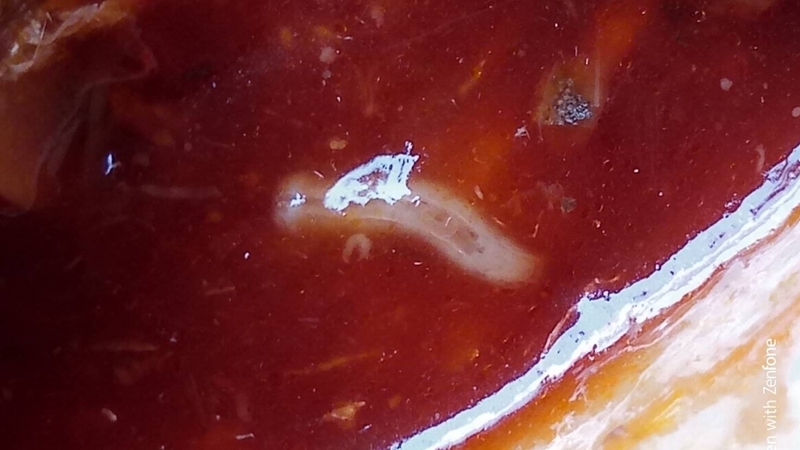 No worms will survive under high temperatures, top boss at Super C Chef says No worms will survive under high temperatures, top boss at Super C Chef says