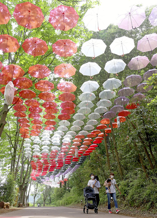 Visitors stroll under the 