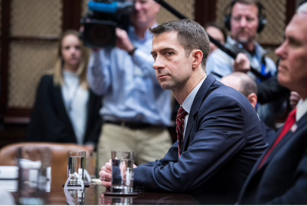 Sen. Cotton rallies conservatives and raises national profile as op-ed on military intervention causes uproar Sen. Cotton rallies conservatives and raises national profile as op-ed on military intervention causes uproar