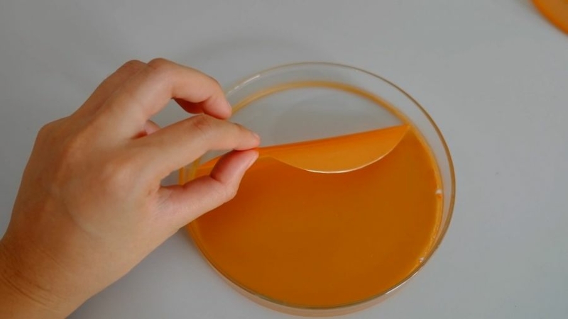 Researchers roll out edible eco-friendly food wrapper made from carrot Researchers roll out edible eco-friendly food wrapper made from carrot