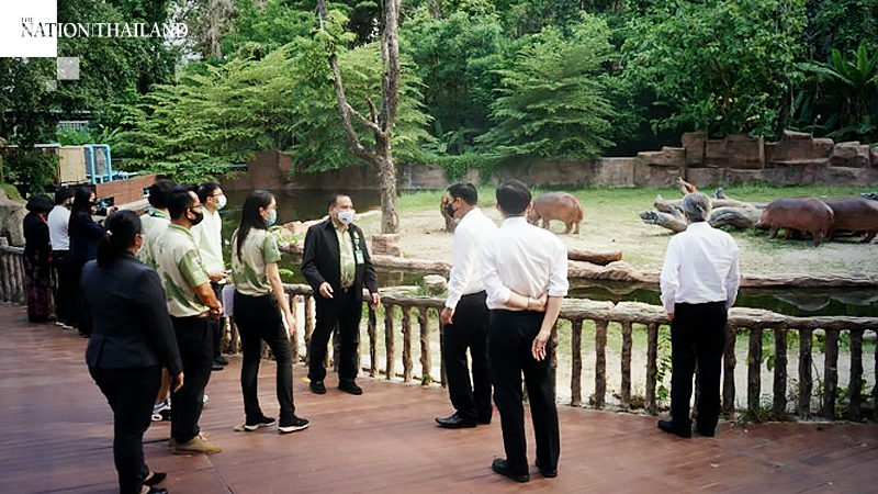 Chiang Mai Zoo readies to reopen but pandas off the menu Chiang Mai Zoo readies to reopen but pandas off the menu