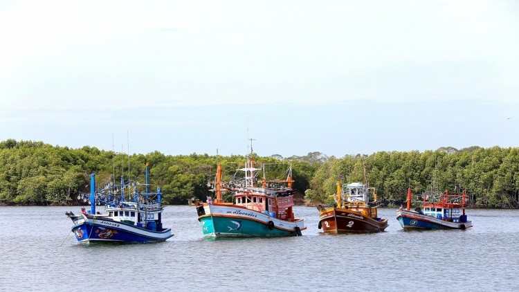 Fishing restrictions imposed in Gulf of Thailand for over three months Fishing restrictions imposed in Gulf of Thailand for over three months