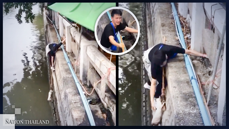Thai cat rescue mission makes big splash on TikTok Thai cat rescue mission makes big splash on TikTok