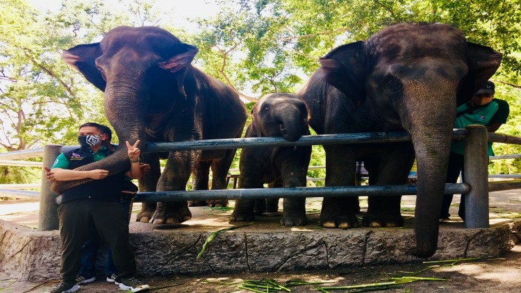 Visitors to six zoos can marvel at animals for free until end June Visitors to six zoos can marvel at animals for free until end June