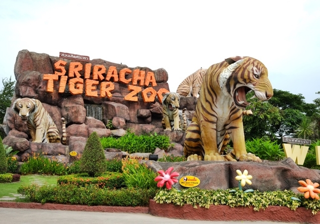 Sriracha Tiger Zoo offers free entry to visitors until June 30 Sriracha Tiger Zoo offers free entry to visitors until June 30