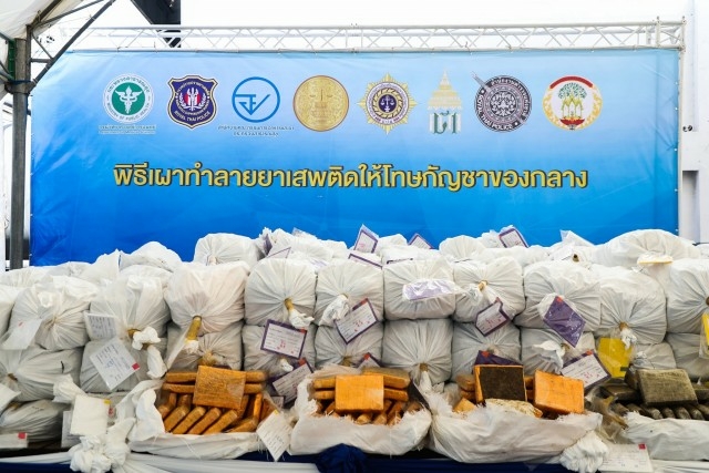 Confiscated marijuana, useless for research, destroyed in Ayutthaya Confiscated marijuana, useless for research, destroyed in Ayutthaya