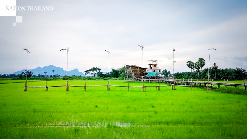 Phatthalung gets ready for boom in tourism as restrictions lifted Phatthalung gets ready for boom in tourism as restrictions lifted