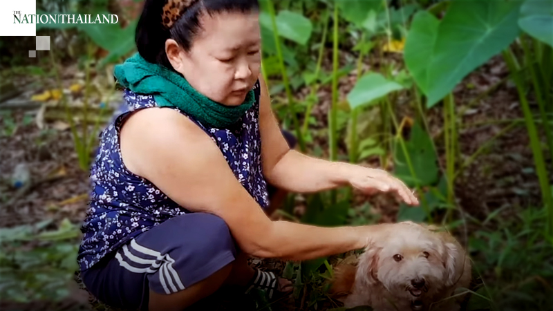 Dog helps find dead master Dog helps find dead master