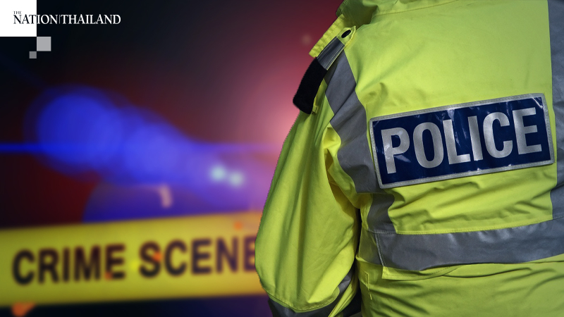 Three fatally stabbed in British park; suspect is in custody Three fatally stabbed in British park; suspect is in custody