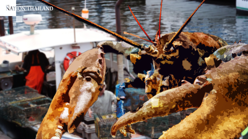 White House directs Agriculture Department to extend farmer bailout money to lobster industry White House directs Agriculture Department to extend farmer bailout money to lobster industry