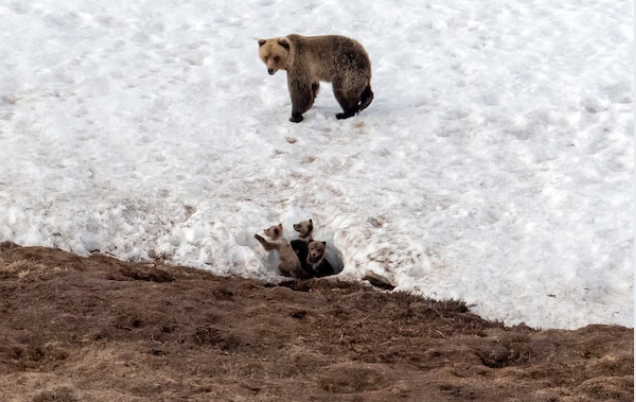 Trump administration seeks to drill on more than two-thirds of nation's largest swath of public land Trump administration seeks to drill on more than two-thirds of nation's largest swath of public land