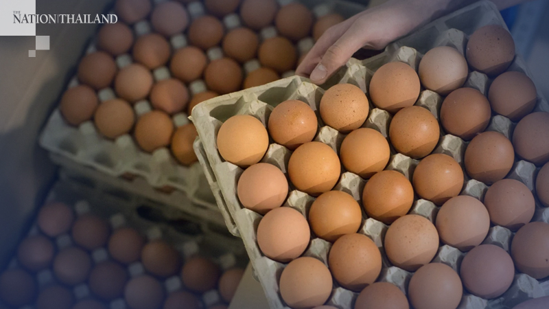 Breakfast gets a bit expensive as ban on egg exports lifted Breakfast gets a bit expensive as ban on egg exports lifted