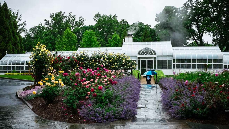 Marjorie Merriweather Post's Hillwood estate reopens to the public on June 27. Timed reservations are required to help with social distancing. MUST CREDIT: Photo for The Washington Post by André Chung
