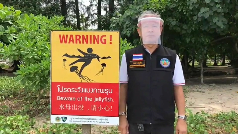 Tourists urged to beware of jellyfish sting in Krabi national park Tourists urged to beware of jellyfish sting in Krabi national park