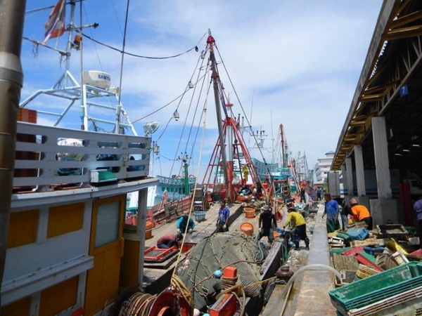 Famous Chonburi fish market set to reopen in August Famous Chonburi fish market set to reopen in August